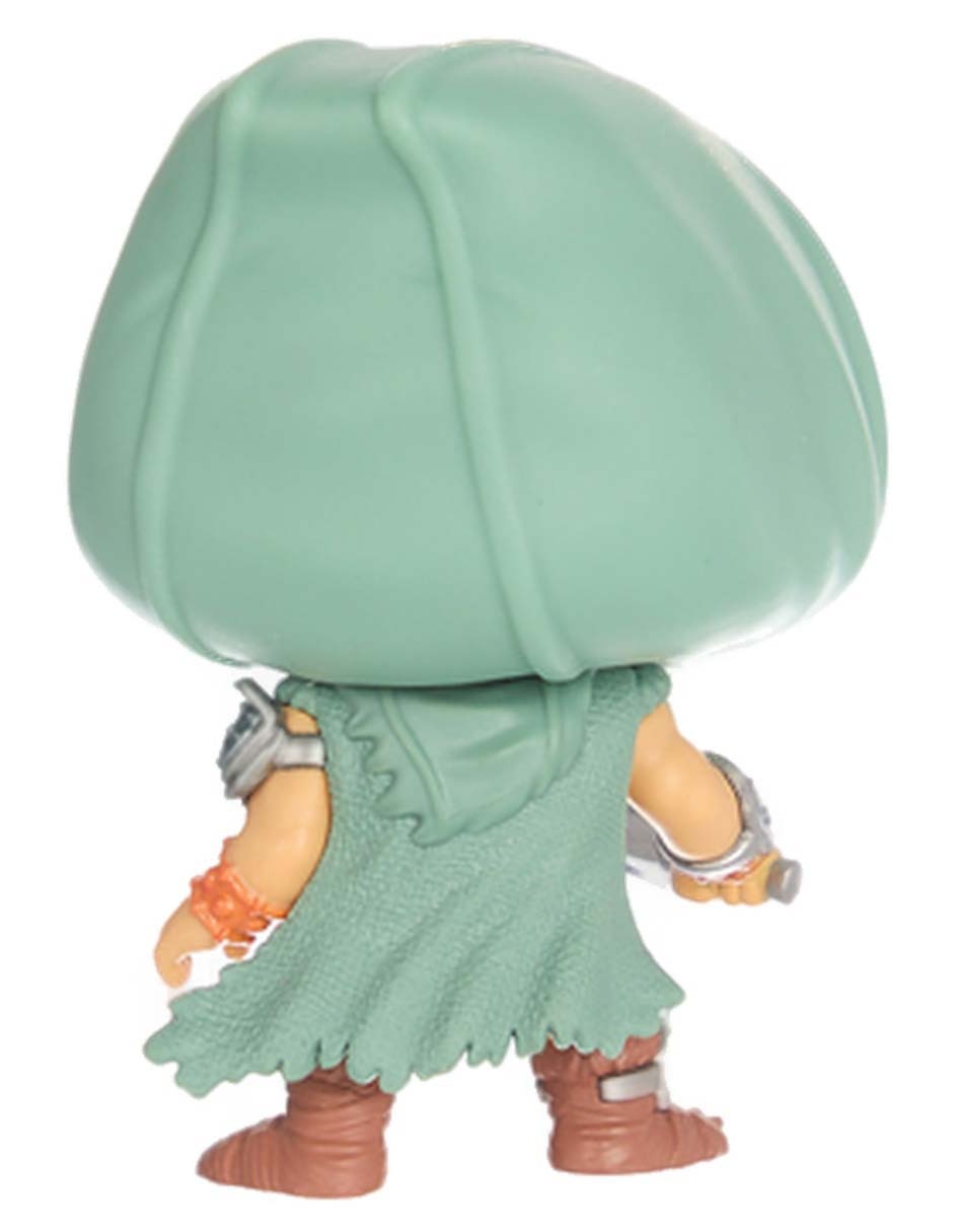 POP POP! Televisión Turtles of Grayskull He-Man 3