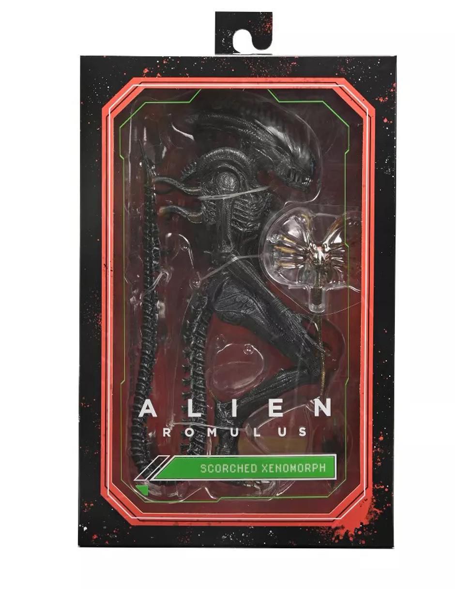 Figura de colección articulada Alien Romulus Scorched Xenomorph ultimate 2