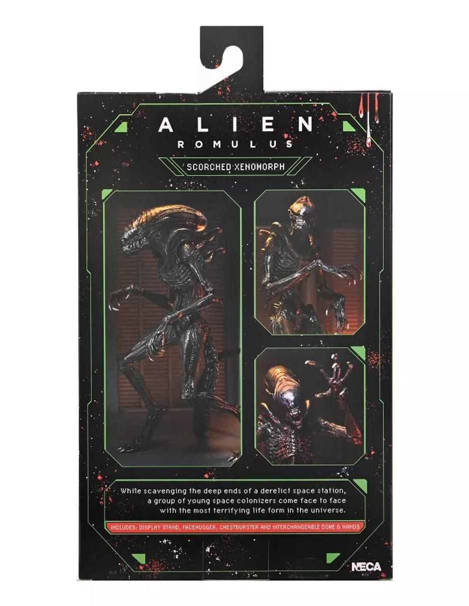Figura de colección articulada Alien Romulus Scorched Xenomorph ultimate 3