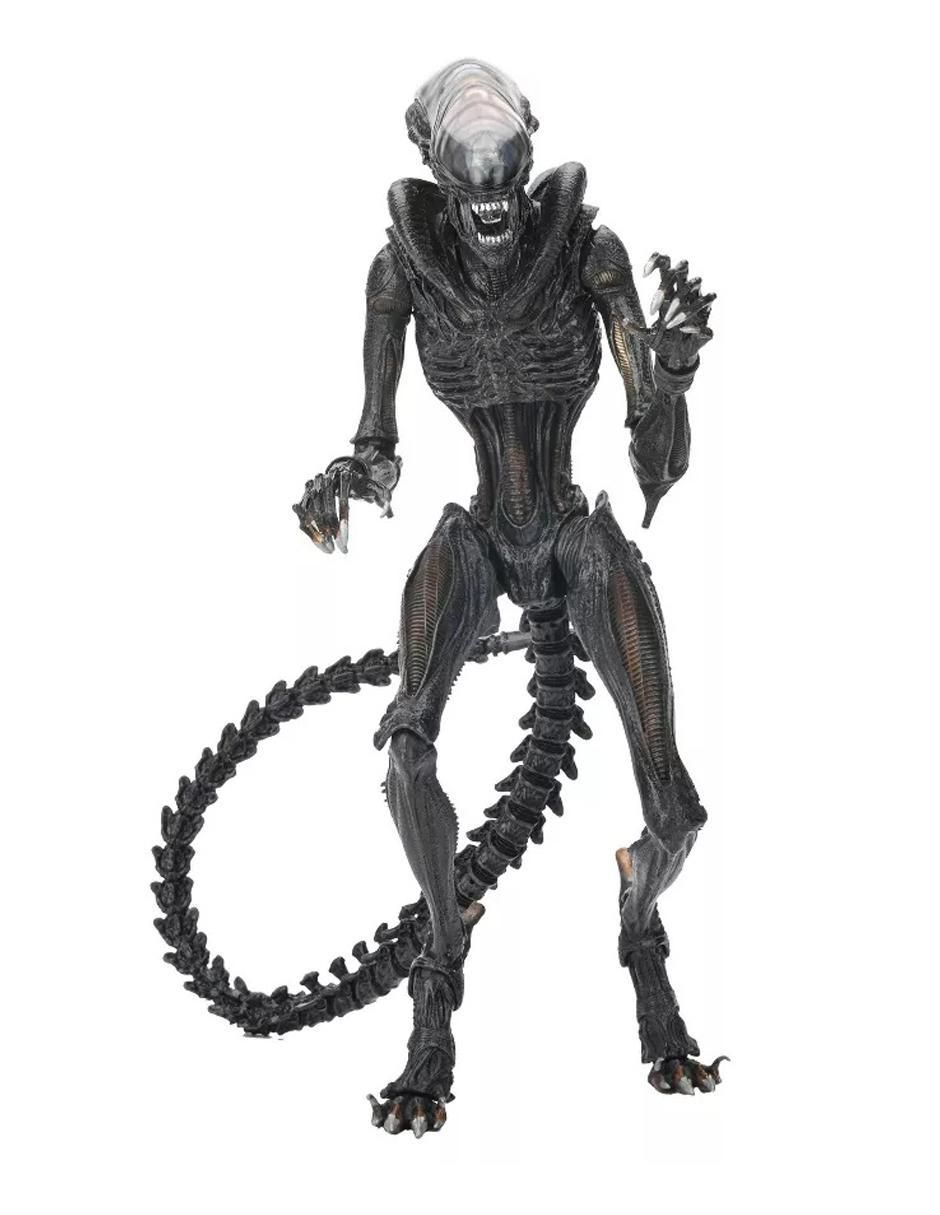 Figura de colección articulada Alien Romulus Scorched Xenomorph ultimate 4