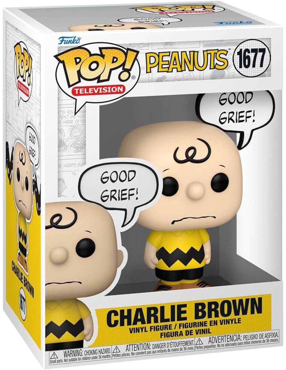 Peanuts Charlie Brown 3