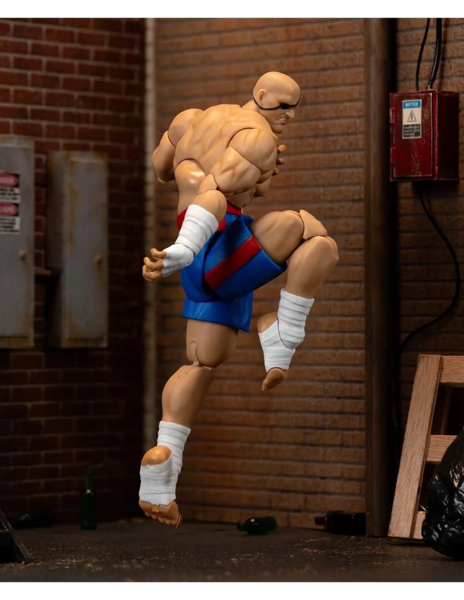 Figura de acción articulada Street Fighter 7
