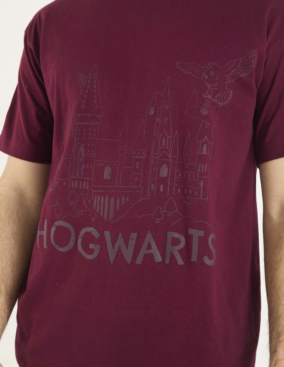 Playera Hogwarts cuello redondo para hombre 4