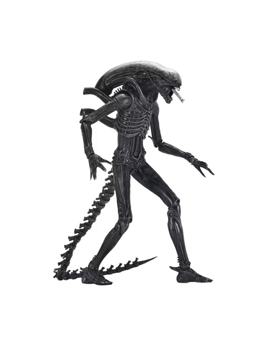 Figura de colección articulada Alien Romulus Xenomorph ultimate con movimiento 2