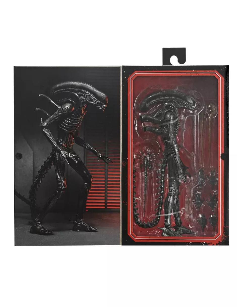 Figura de colección articulada Alien Romulus Xenomorph Ultimate 3