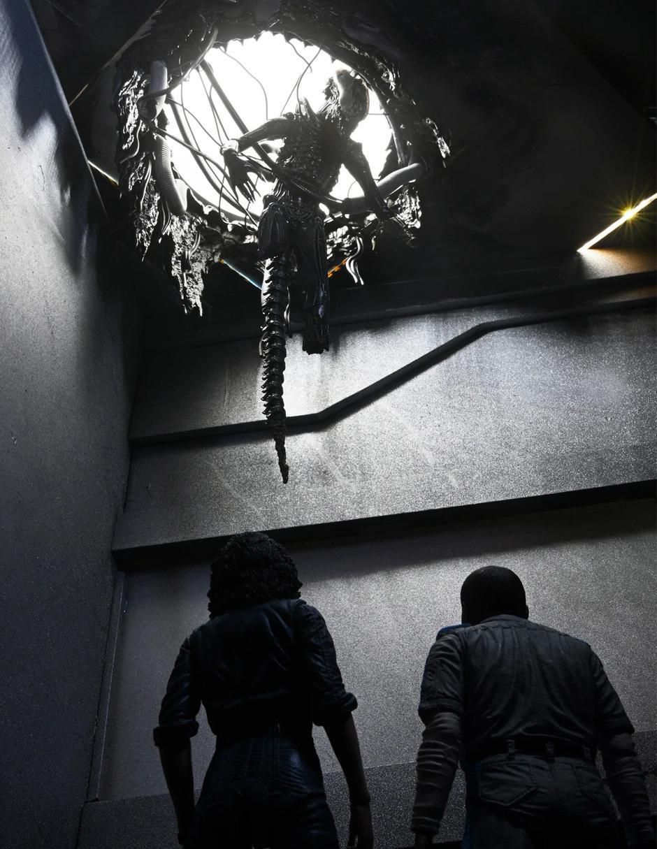 Figura de colección articulada Alien Romulus Xenomorph Deluxe 2