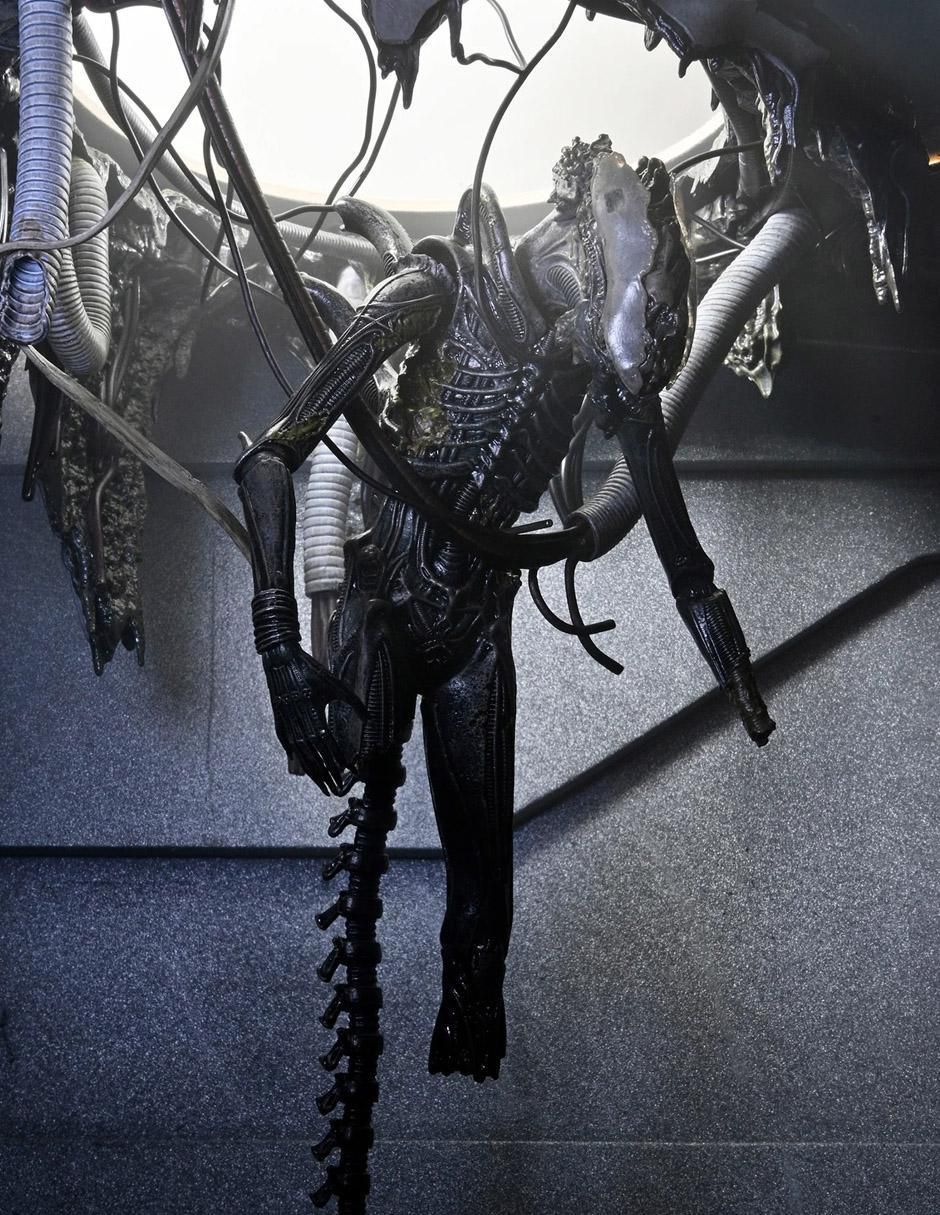 Figura de colección articulada Alien Romulus Xenomorph Deluxe 3